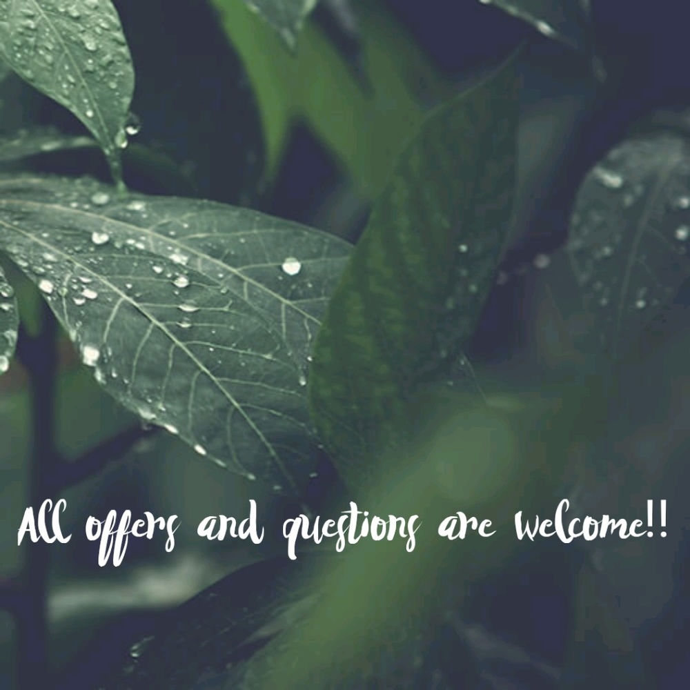 Let's Negotiate 🙃